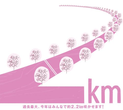 main_img